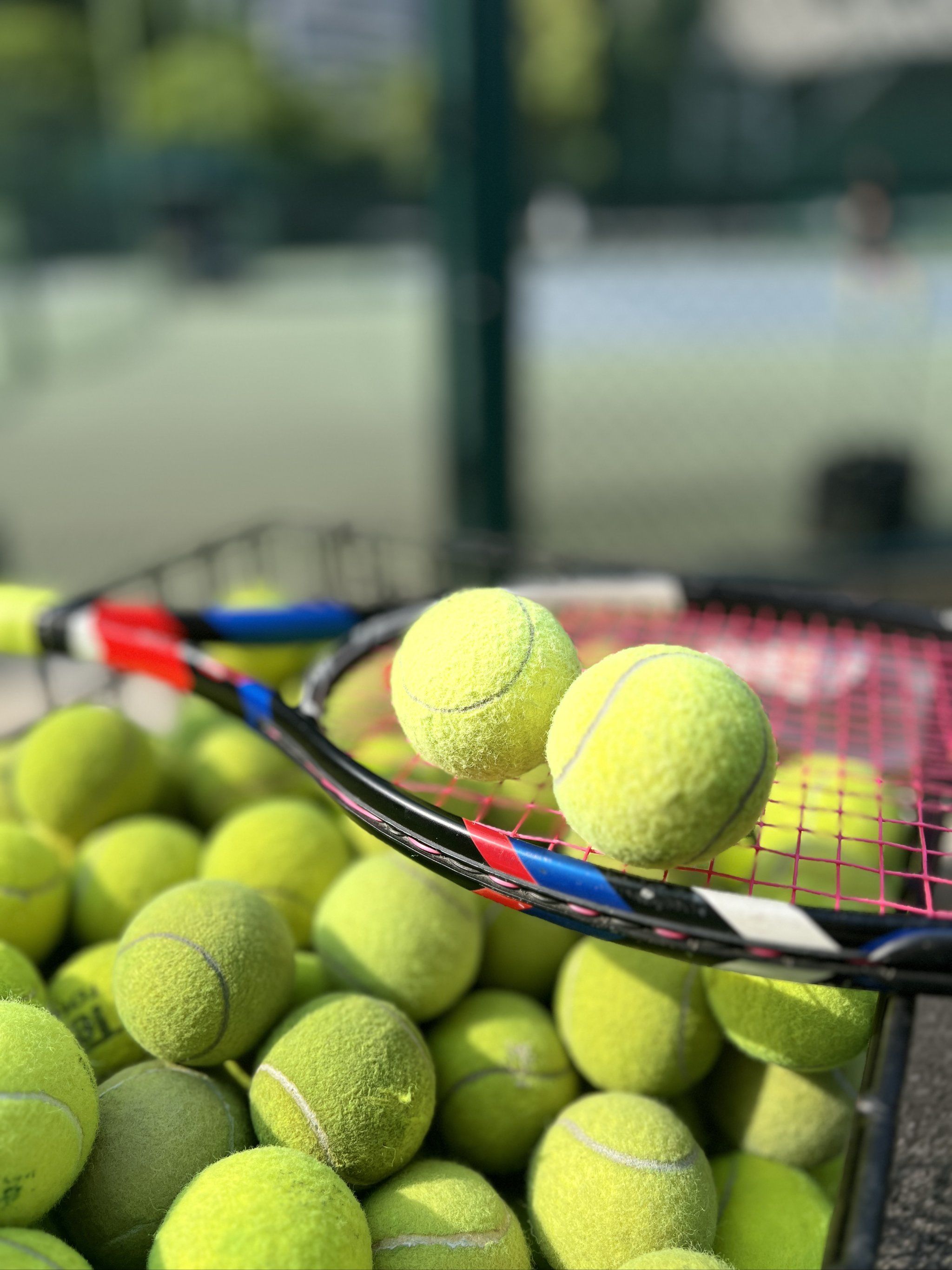 他们重视学 他们重视学